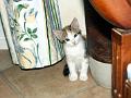 caramel 06-04 043
